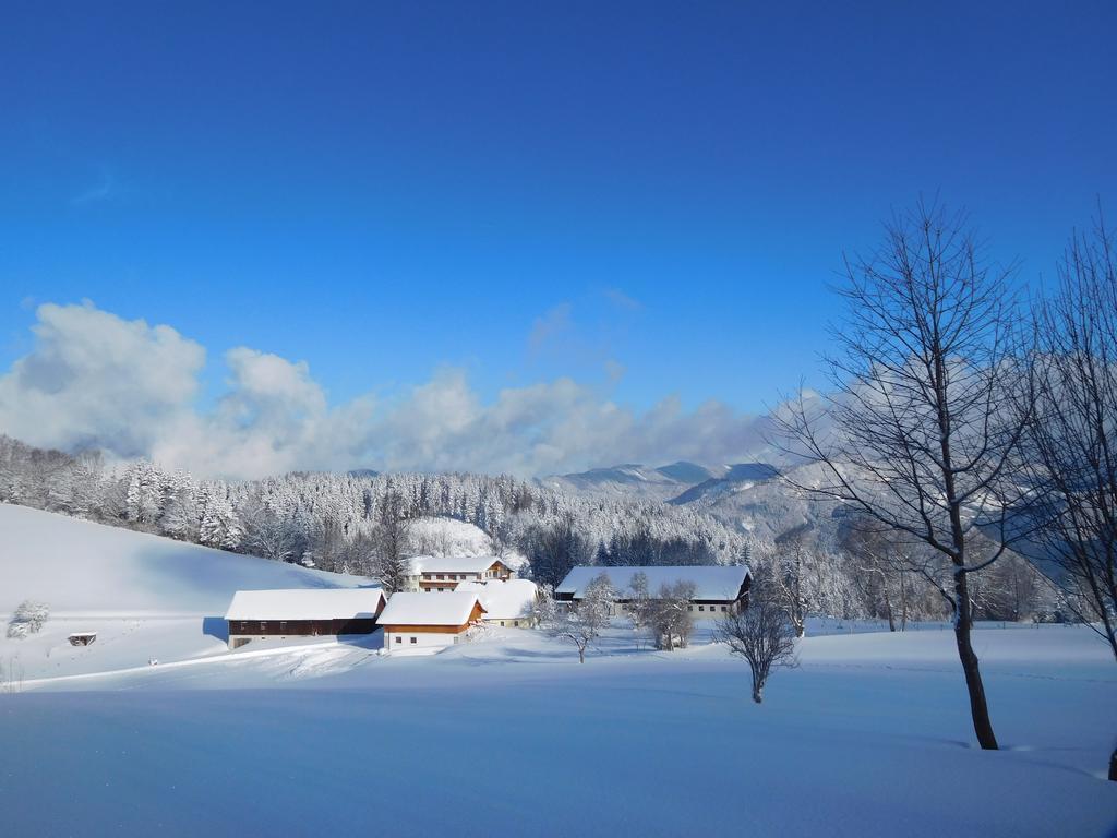 Urlaub Am Bauernhof Blamauer Koehr Göstling an der Ybbs Dış mekan fotoğraf