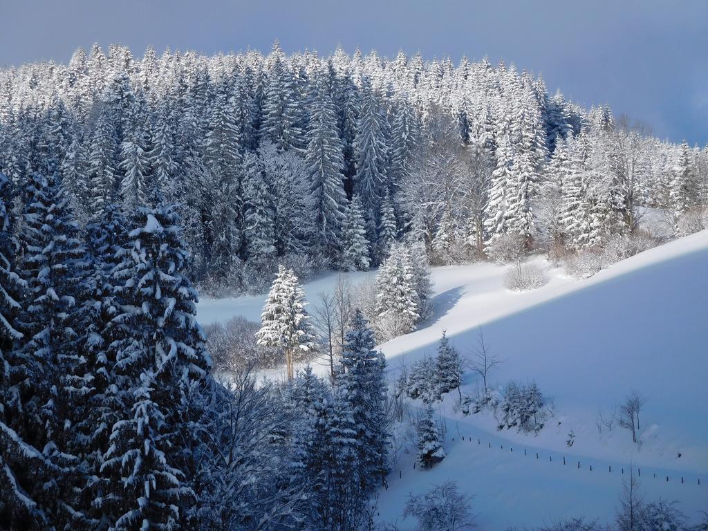 Urlaub Am Bauernhof Blamauer Koehr Göstling an der Ybbs Dış mekan fotoğraf