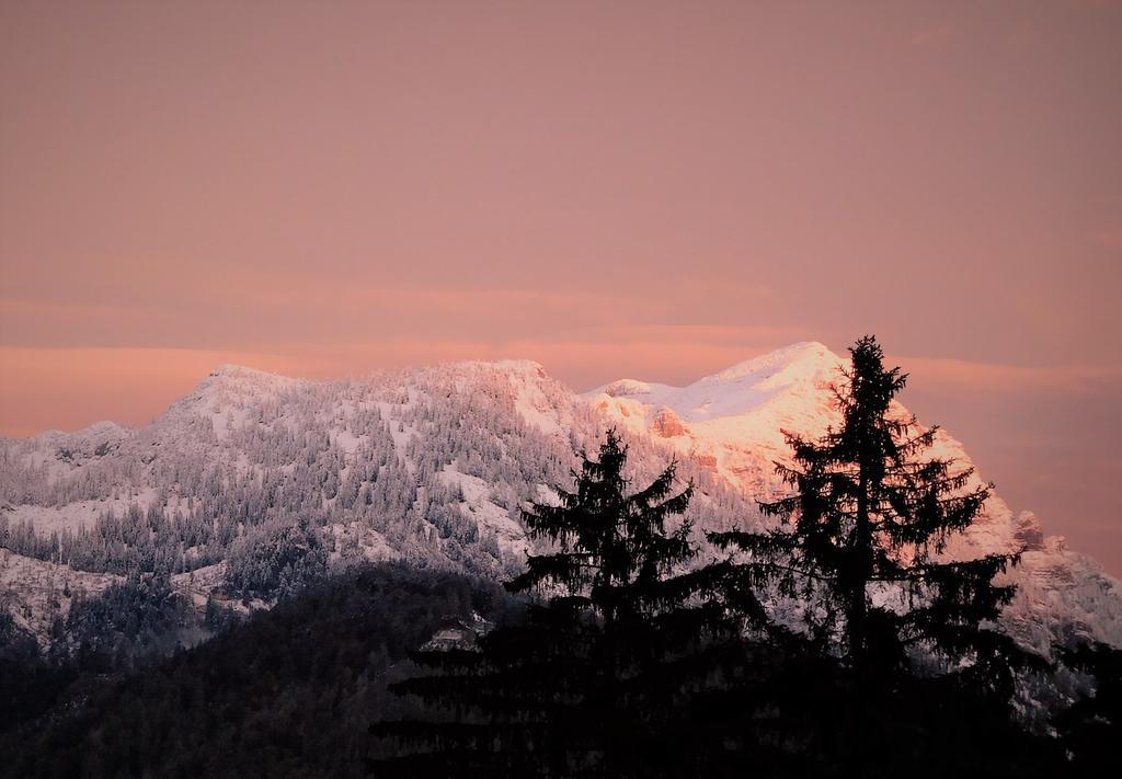 Urlaub Am Bauernhof Blamauer Koehr Göstling an der Ybbs Dış mekan fotoğraf